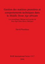 Gestion Des Matieres Premieres Et Comportements Technique Dans Le Middle Stone Age Africain
