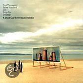 Four Thousand Seven Hundred and Sixty-Six Seconds: A Short Cut to Teenage Fanclub