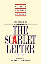 The American Novel- New Essays on 'The Scarlet Letter'