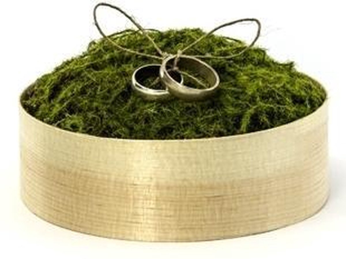 Bruiloft ringen doosje met mos - Huwelijk / bruiloft dingendoosje | bol.com
