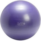 Ballon Gymnic Plus - Ballon fitness - Ø 65 cm - Violet