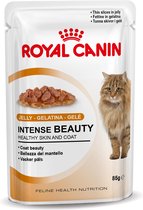 Royal Canin Intense Beauty in Jelly - Kattenvoer - 1020 g