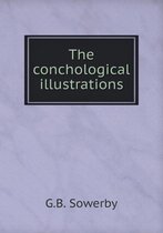 The conchological illustrations
