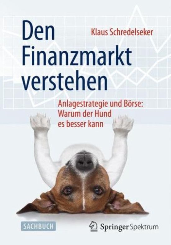 Den Finanzmarkt verstehen - cover