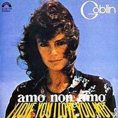 Amo Non Amo