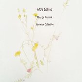 Moře Calma - Maartje Teussink