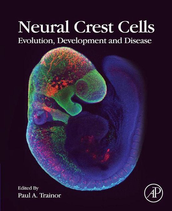 Neural Crest Cells - cover