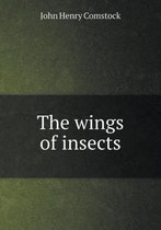 The wings of insects