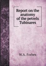 Report on the anatomy of the petrels Tubinares