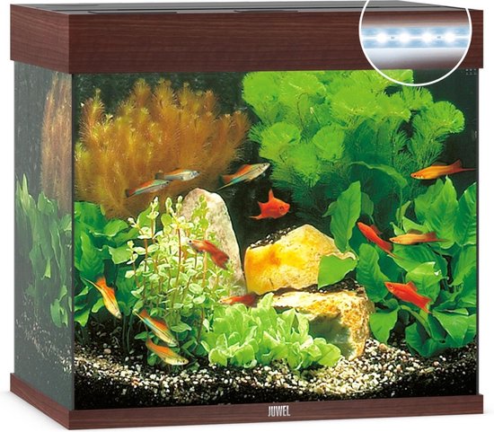 Juwel Lido 120 LED Aquarium - Bruin - 120L - 61 x 41 x 58 cm
