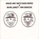 Horace Andy Meets Naggo Morris/Wayne Jarrett -- Mini Showcase