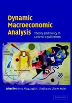 Dynamic Macroeconomic Analysis