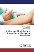 Efficacy of Clonidine and Adrenaline in Lignocaine Anesthesia