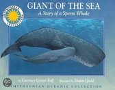 Giant Of The Sea: The Story Of A Sperm Whale