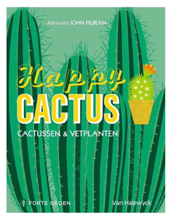 Happy cactus - John Pilbeam | Highergroundnb.org