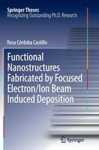 Functional Nanostructures Fabricated by Focused Electron/Ion Beam Induced Deposition