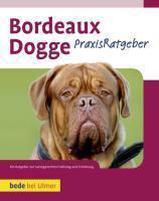 Bordeaux Dogge