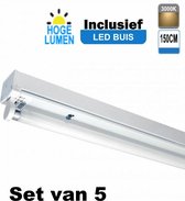 LED Buis armatuur 150cm - Enkel | Inclusief Hoge Lumen LED Buis - 3000K - Warm wit (Set van 5 stuks)