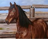 Diamond Painting Mustang DE075 48 x 38 cm