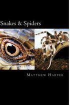 Snakes & Spiders: Two Fascinating Books Combined Containing Facts, Trivia, Images & Memory Recall Quiz