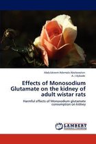 Effects of Monosodium Glutamate  on the kidney of adult wistar rats