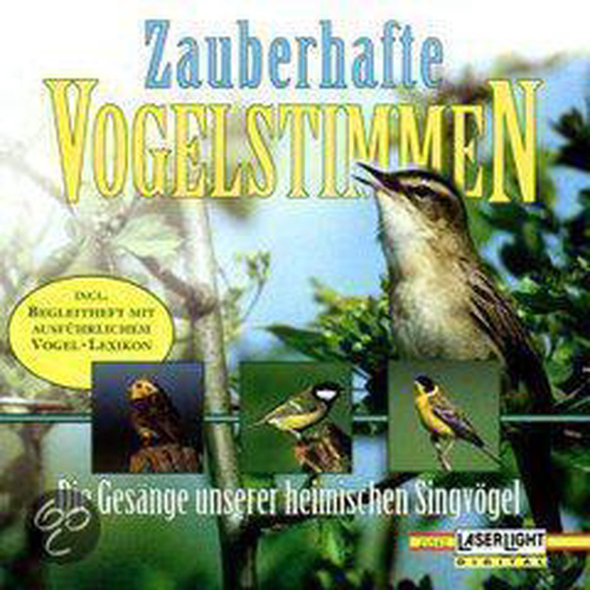 Zauberhafte Vogelstimmen: Bird Voices