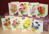 16 Openslaande Luxe Bloemen Wenskaarten met Enveloppen - Hartelijk Gefeliciteerd - 8 Verschillende