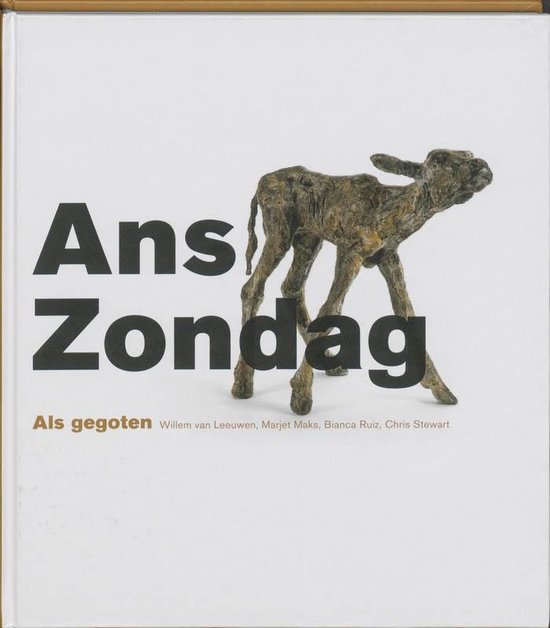 Cover van het boek 'Ans Zondag' van B. Ruiz
