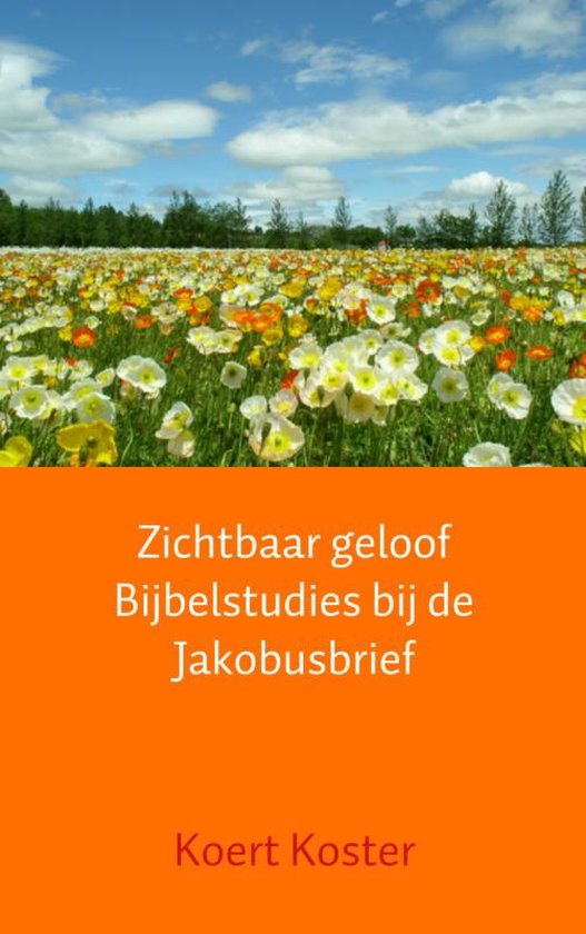 Cover van het boek 'Zichtbaar geloof bijbelstudies bij de Jakobusbrief'