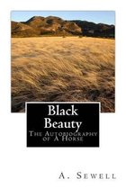 Black Beauty