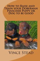 How to Raise and Train Your Doberman Pincher Puppy or Dog to be Good