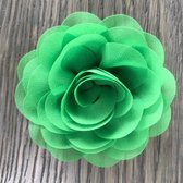 Leuke bloem (roos) op Clip - Groen