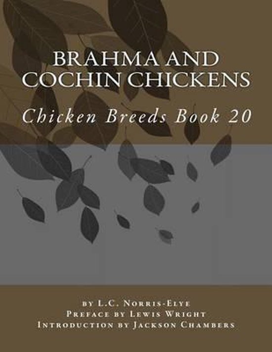 Brahma and Cochin Chickens - cover