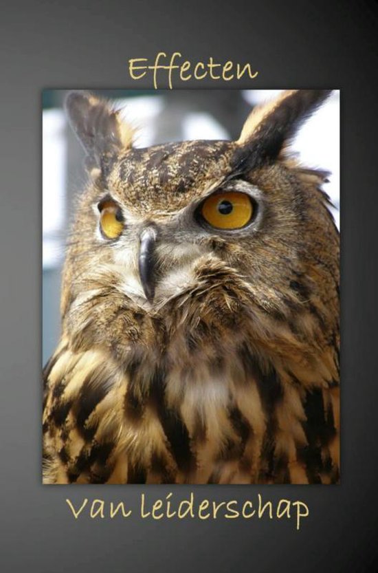 Effecten van leiderschap - cover