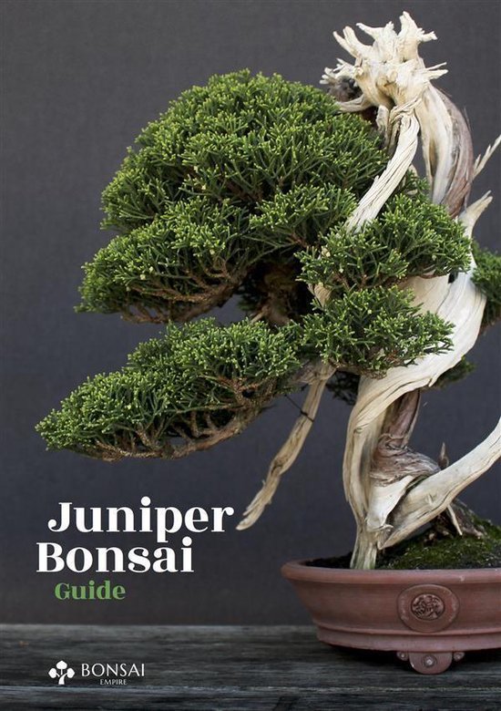 Juniper Bonsai Guide - cover