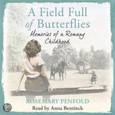 A Field Full of Butterflies