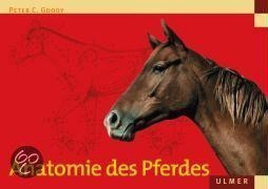 Anatomie Des Pferdes - cover