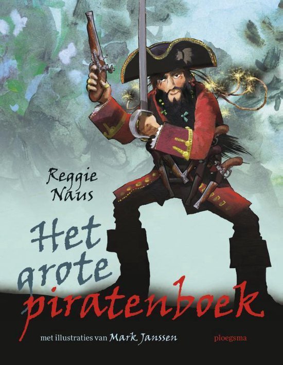 Het grote piratenboek