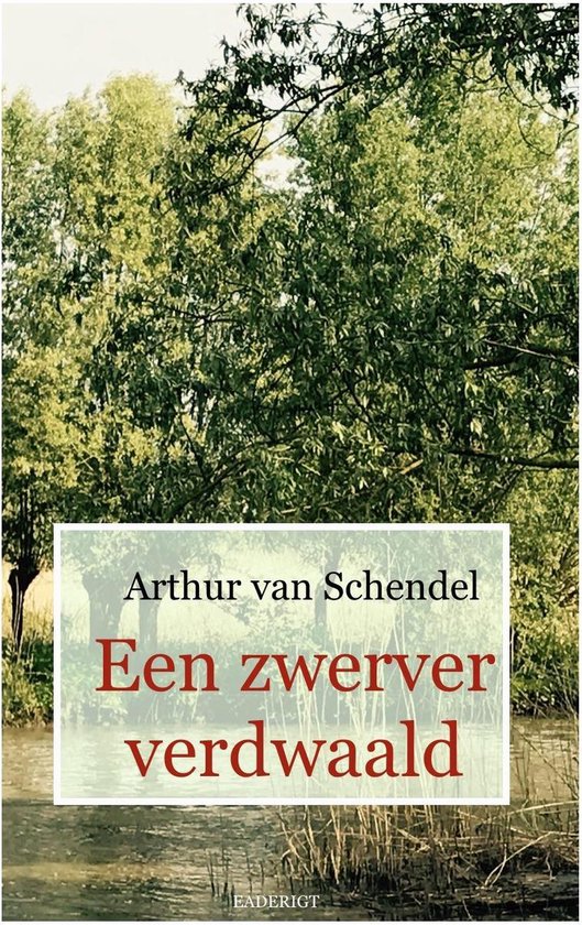 Een zwerver verdwaald - cover