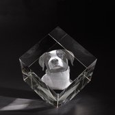 3D Foto in hoogwaardig kristalglas Model: Kubus XXL