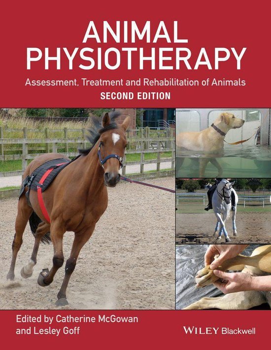 Animal Physiotherapy - cover