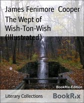 The Wept of Wish-Ton-Wish (Illustrated)