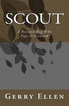 Scout