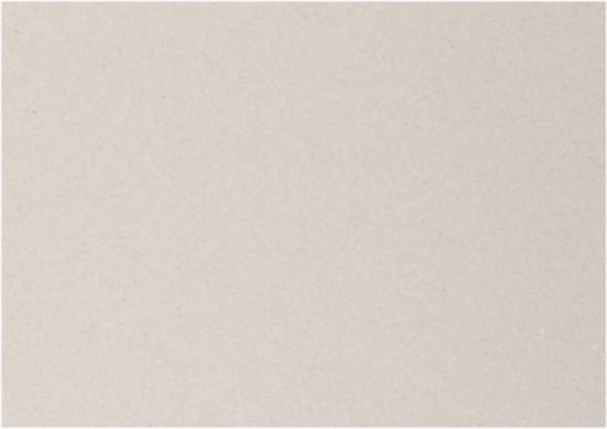 Oceaan erotisch Buitensporig Grijs karton, vel 70x100 cm, 2 mm, 10 vellen | bol.com