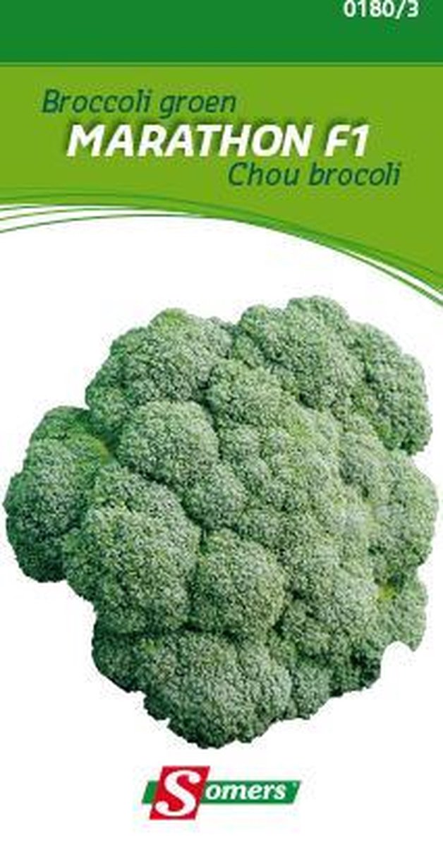 Somers zaden - Broccoli Groen Marathon F1