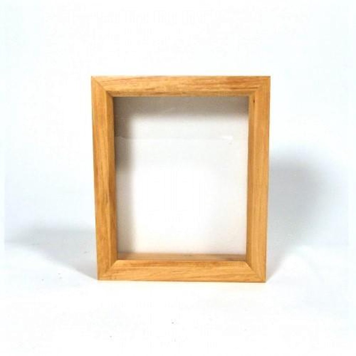 Houten insectendoos 15 cm x 18 cm met ophanghaakje
