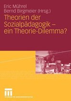 Theorien der Sozialpädagogik - ein Theorie-Dilemma?