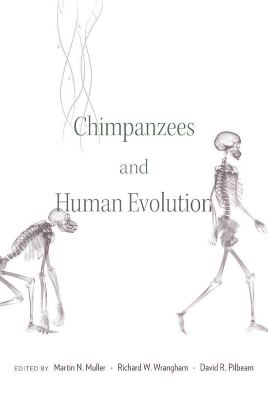 Chimpanzees and Human Evolution - cover