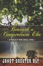 Beneath a Camperdown Elm