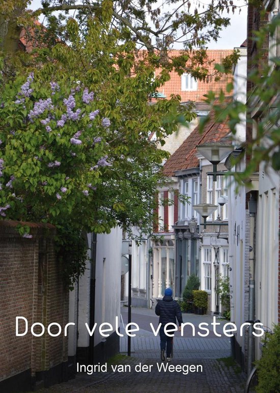 Door vele vensters - cover